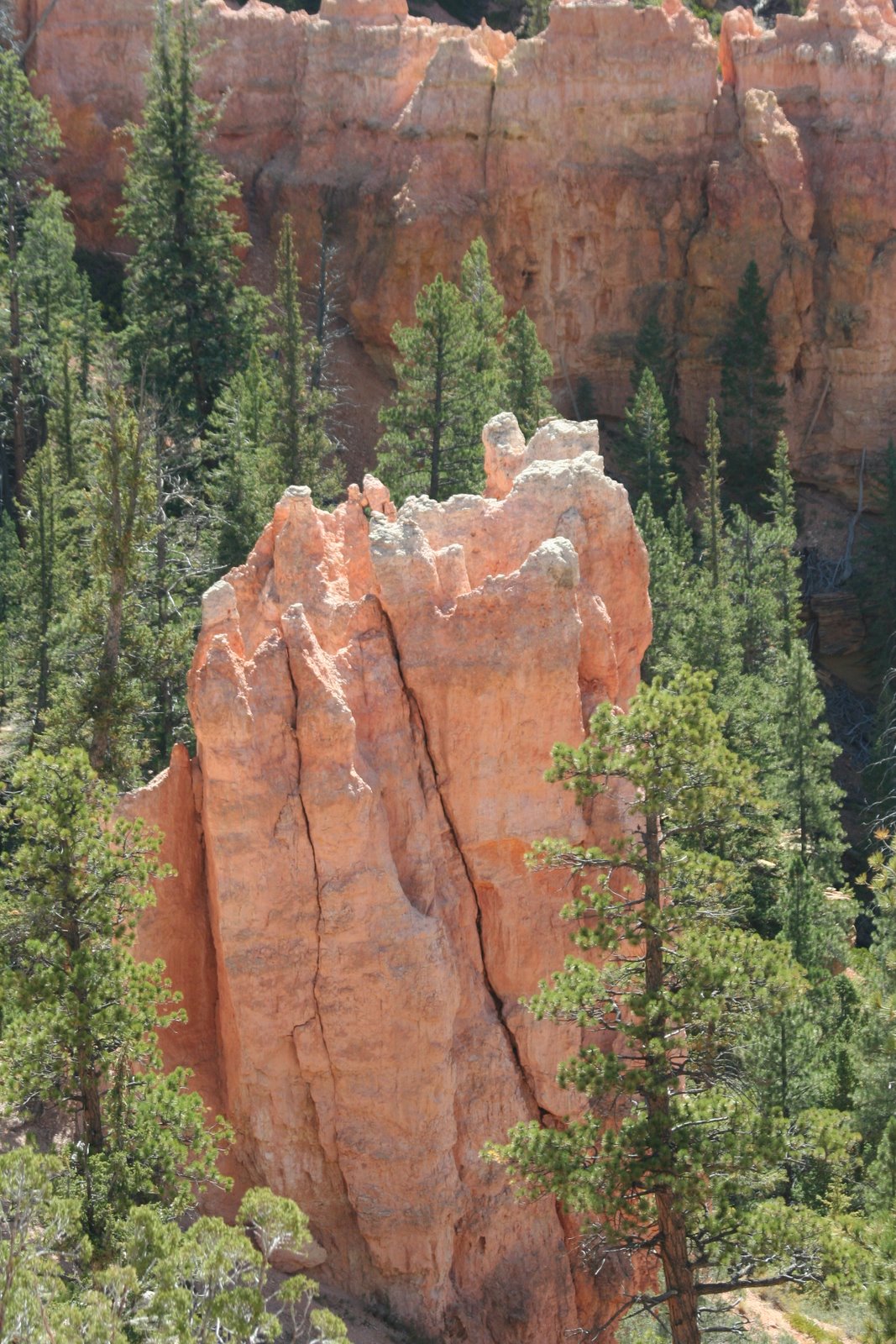 [Bryce+Canyon+to+home+026.JPG]