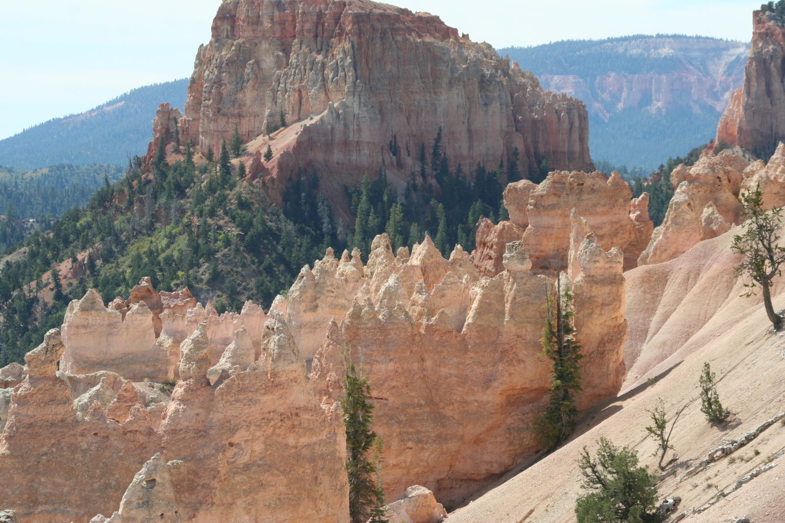 [Bryce+Canyon+to+home+028.JPG]