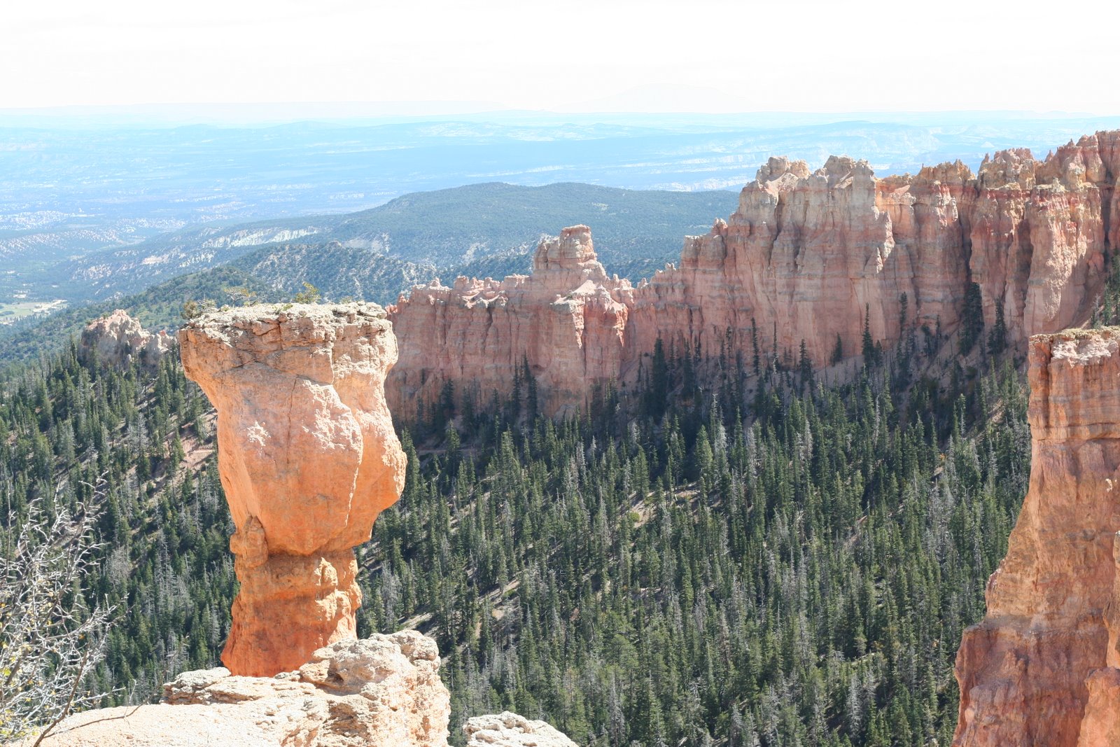 [Bryce+Canyon+to+home+183.JPG]