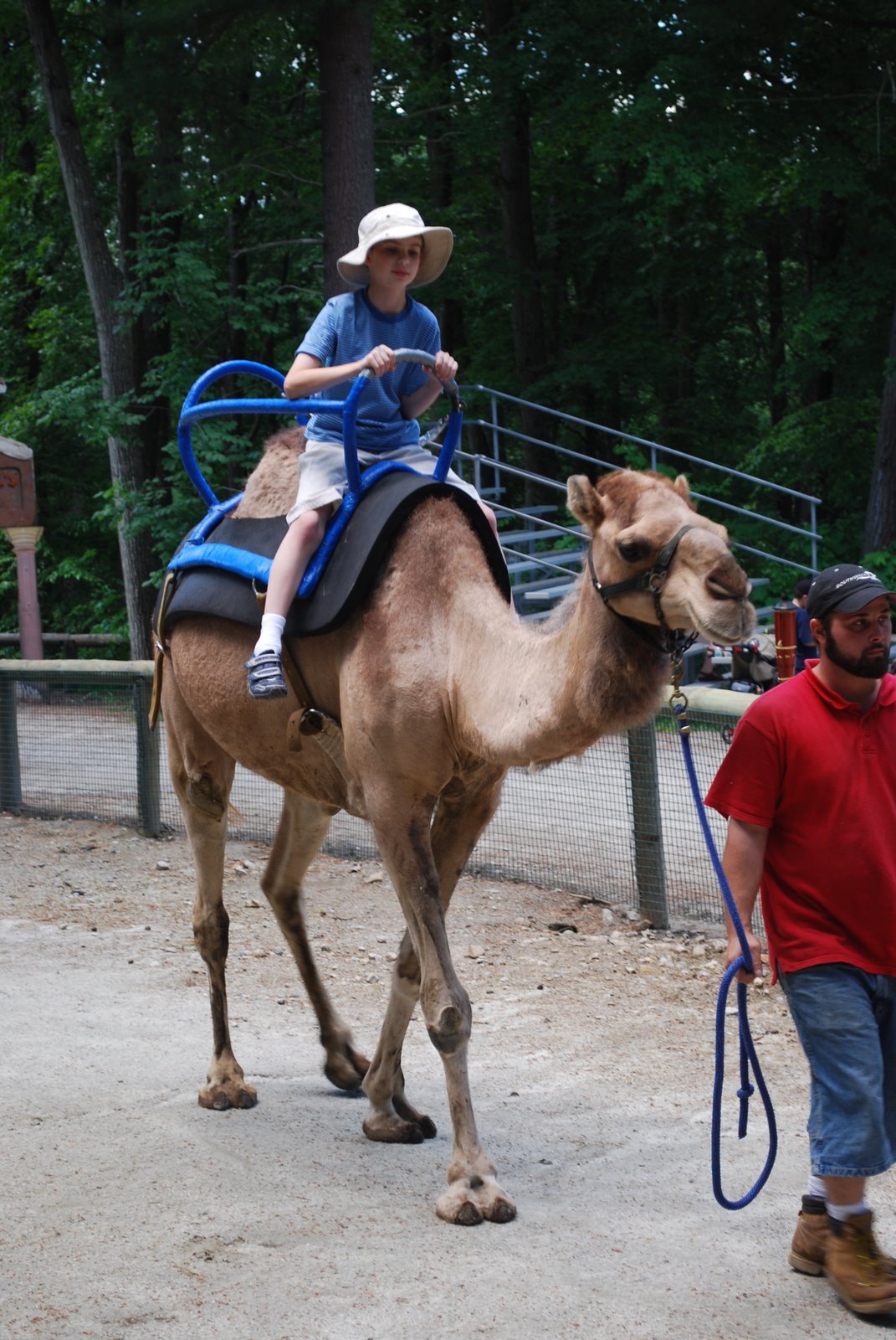 [dean+rides+camel.JPG]