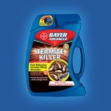 [bayer+termite.jpg]