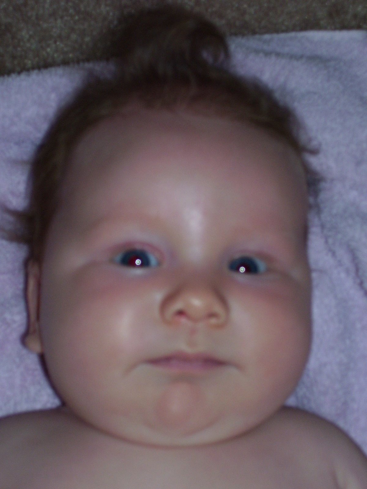 [Abby's+Baby+Pictures+209.jpg]