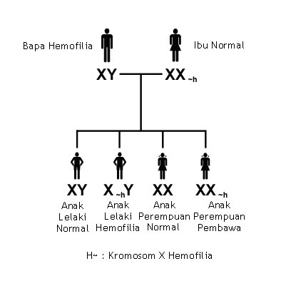 [Hemofilia+2.bmp]