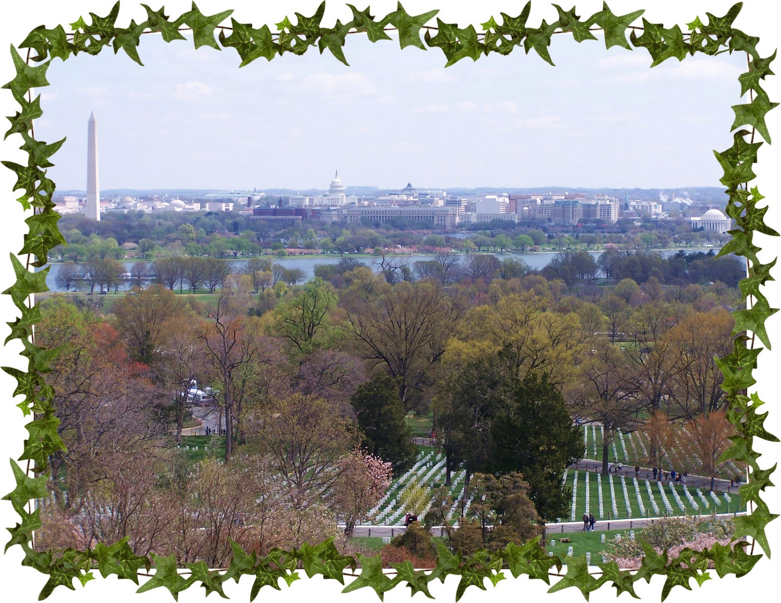 [DC+view+with+ivy+border.jpg]