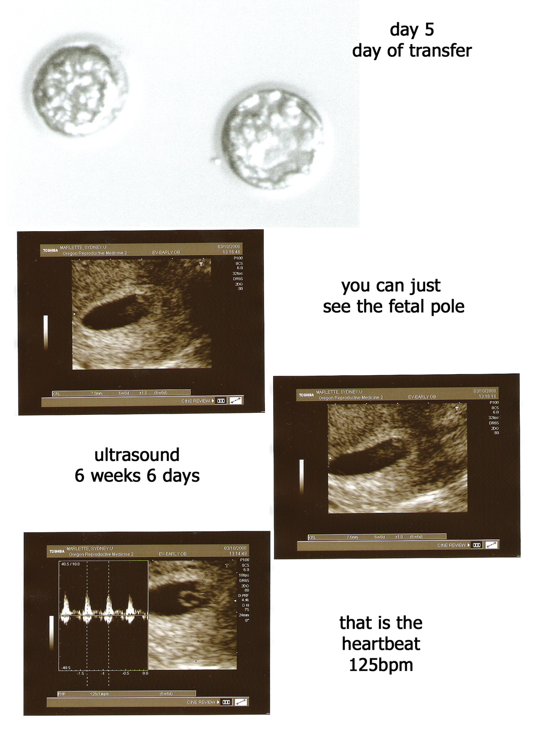 [embryos.jpg]