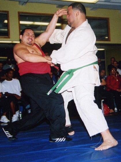 [kungfu_vs_judo.jpg]