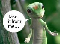 The Geico gecko with a word ballon that says Take it from me...