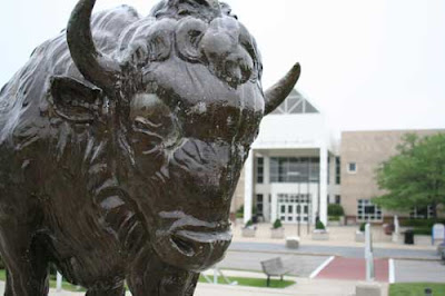 Brass buffalo statue