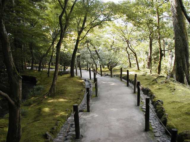 [forest-path.jpg]