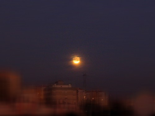 [moon+in+the+city.jpg]