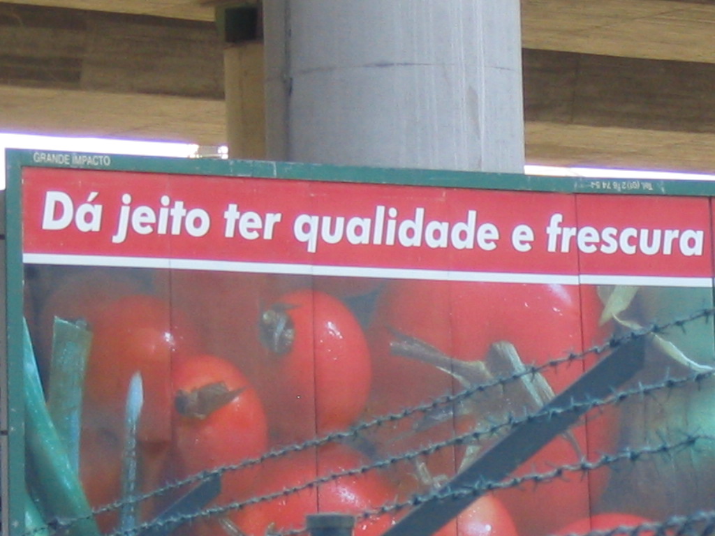 [ter+tomates.JPG]