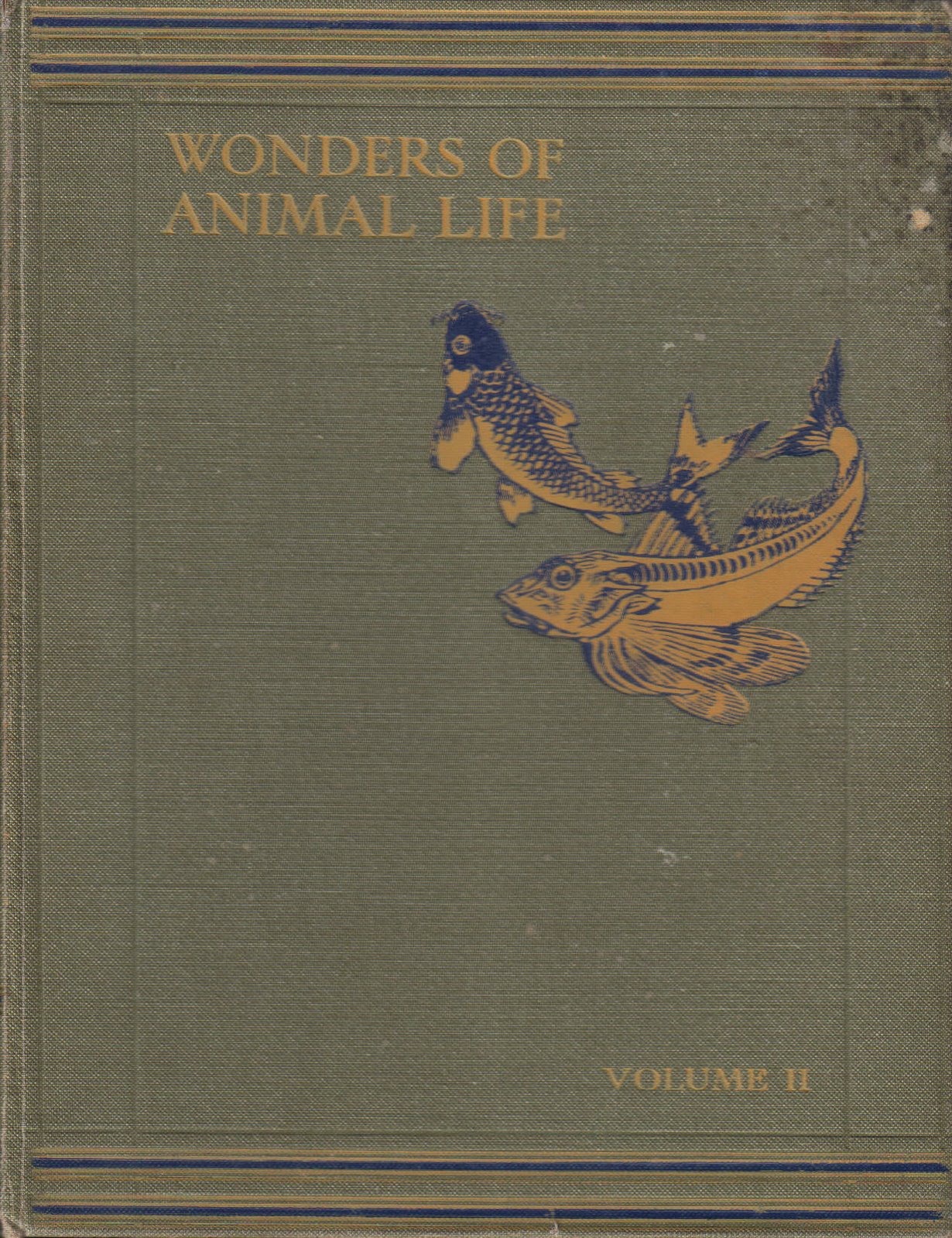 [animal+life+2.jpg]