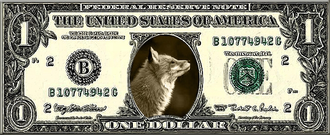 [FOX+DOLLAR+argento.jpg]