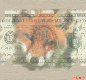 [fox-dollaro+1.JPG]