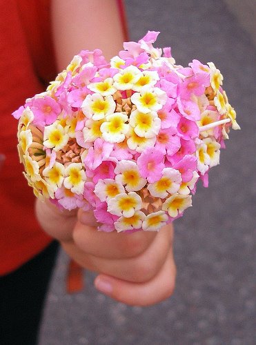 [flowers_flickr.jpg]