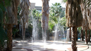 water fountain in a courtyard with palm trees