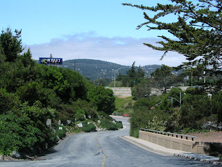 a road with trees and bushes