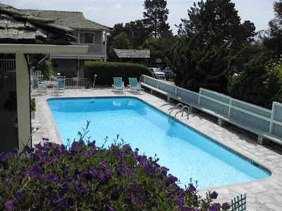 a swimming pool with purple flowers