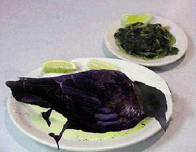 [Eat+Crow.bmp]