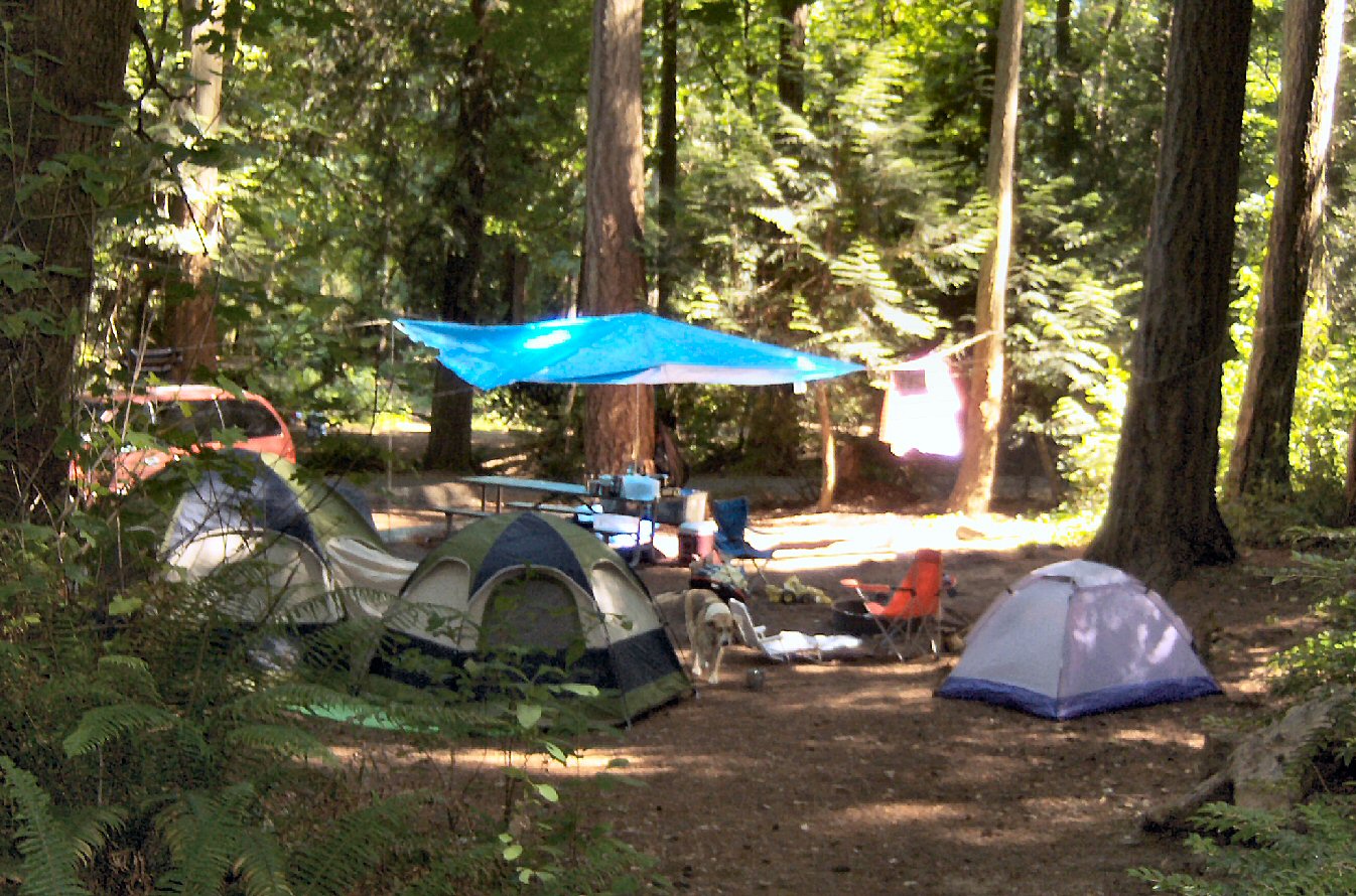 [campsite2.jpg]