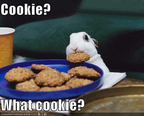 [What+cookie.jpg]