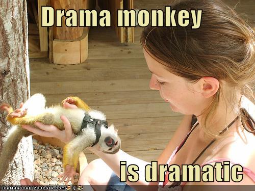 [drama+monkey.jpg]