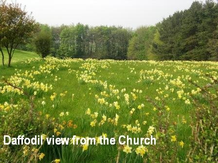 [Daffodil+View+from+Church+003.jpg]
