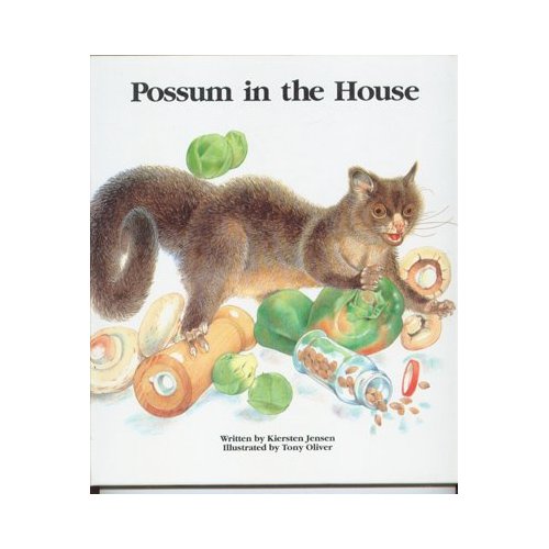 [possum+in+the+house.jpg]