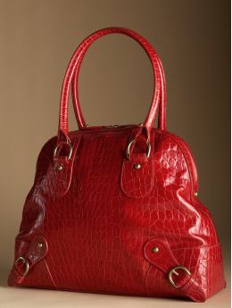 [2007.11.03+BR+red+purse.jpg]