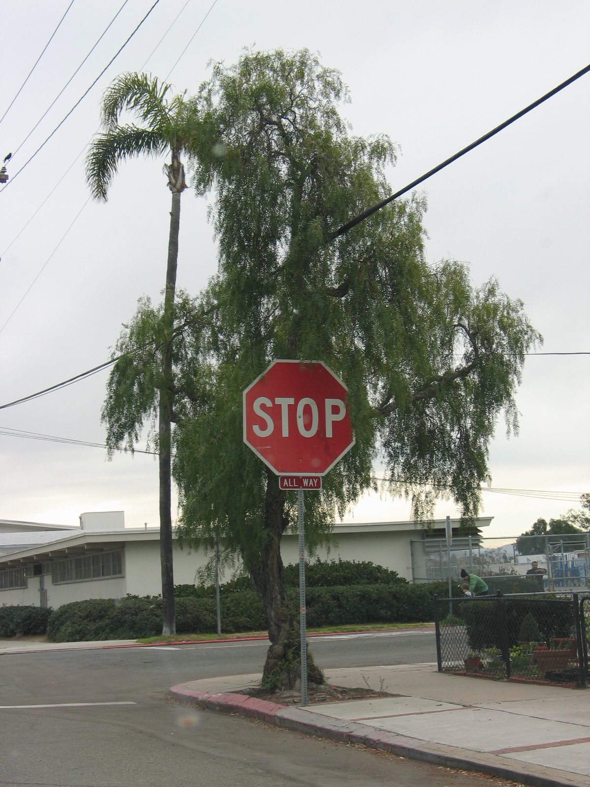 [That+big+Stop+sign+says+Hi.jpg]