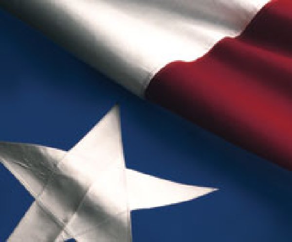 [mini-texas-flag.jpg]