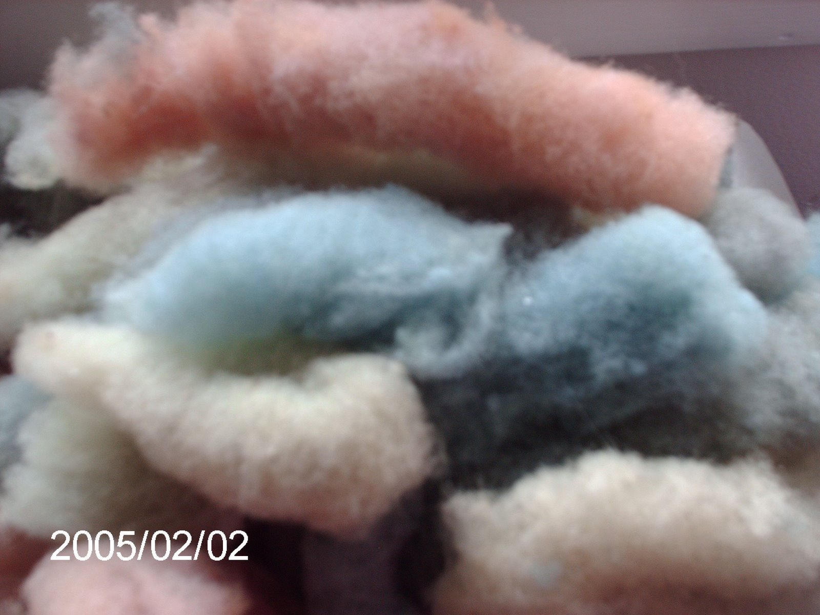 [knitting07+1025.jpg]