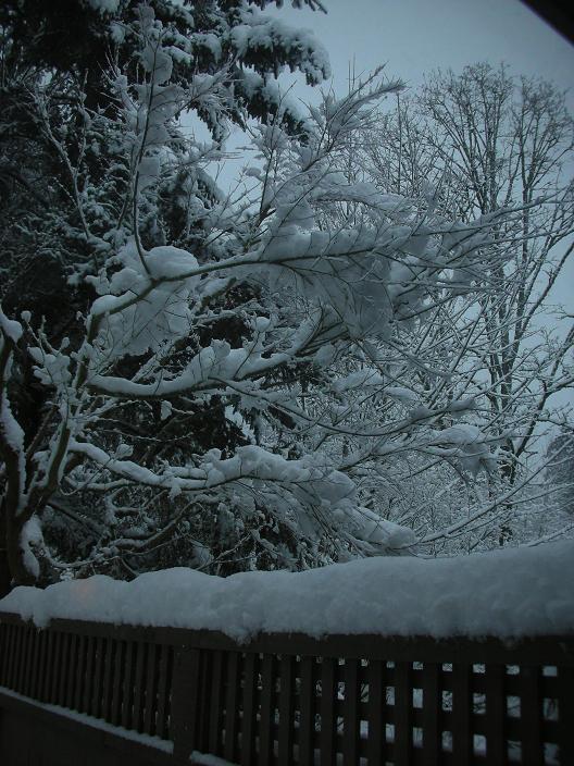 [snow+fence+sm.jpg]