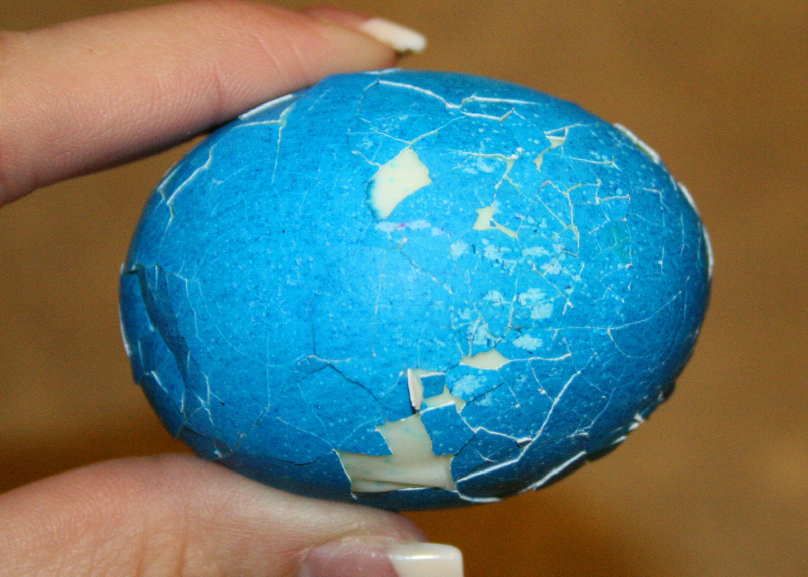 [blue+cracked+egg.jpg]