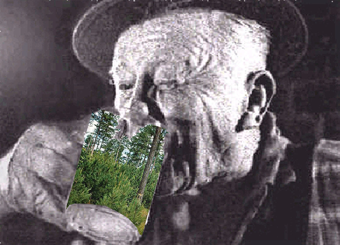[man+drinking+pine+forest-gin.jpg]
