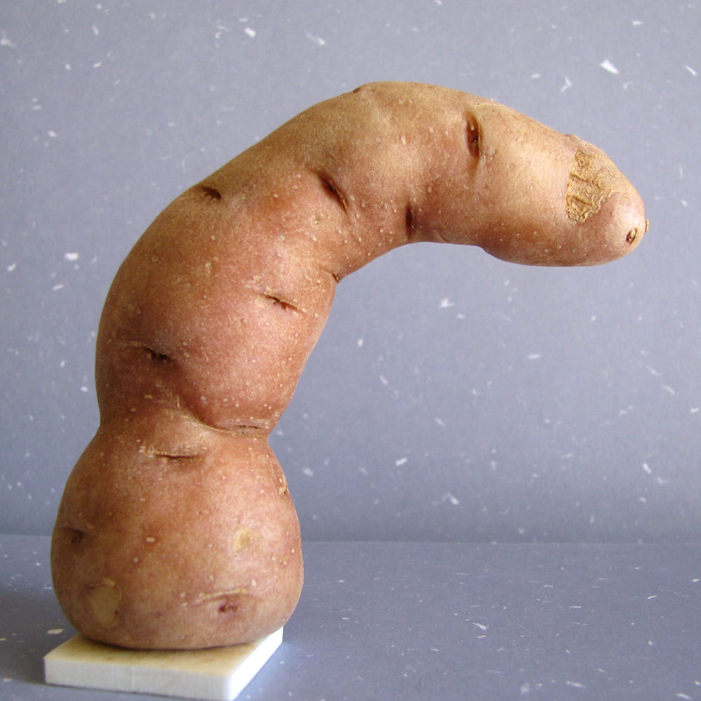 [weird+cresent+potato.1.jpg]