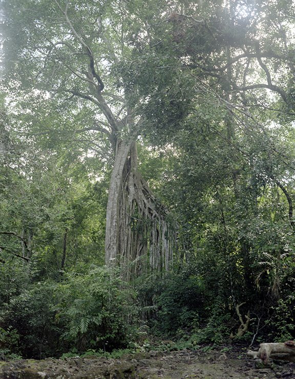[RainforestMX2007.jpg]