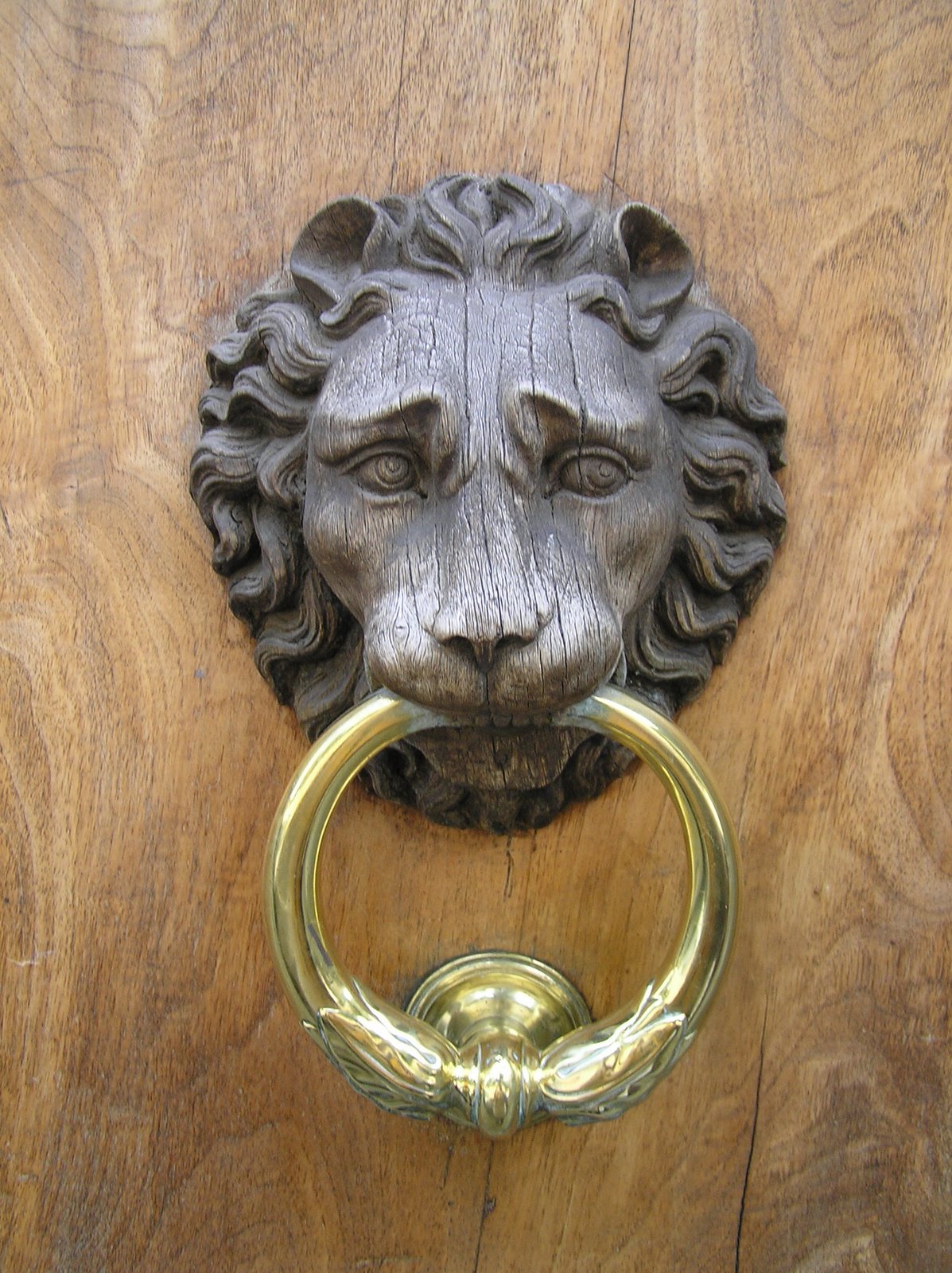 [Wooden+lion+knocker.JPG]