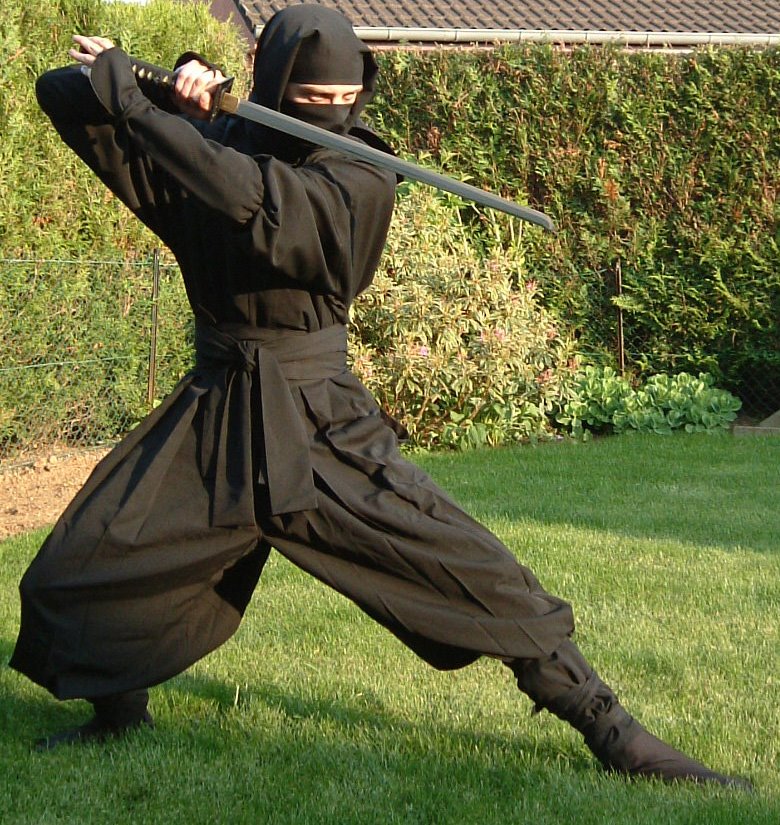 [ninja.jpg]