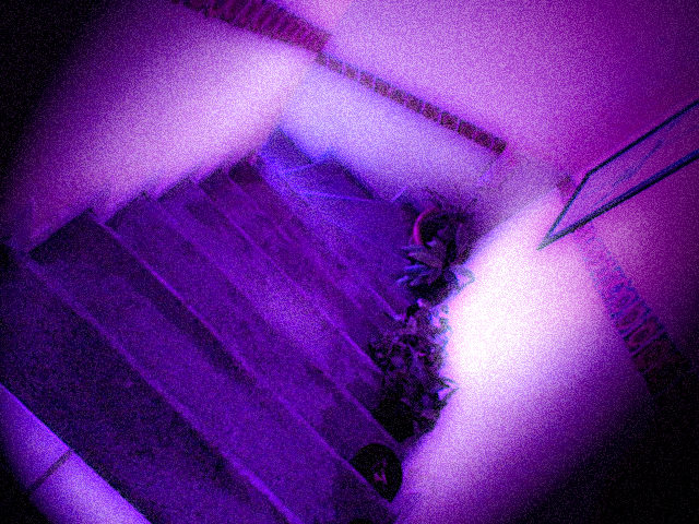 [stairs.jpg]