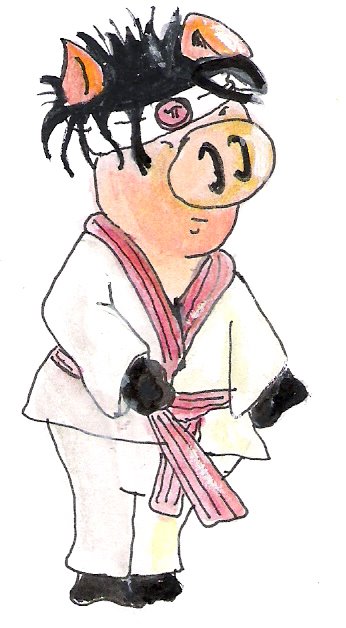[judo+pig.jpg]