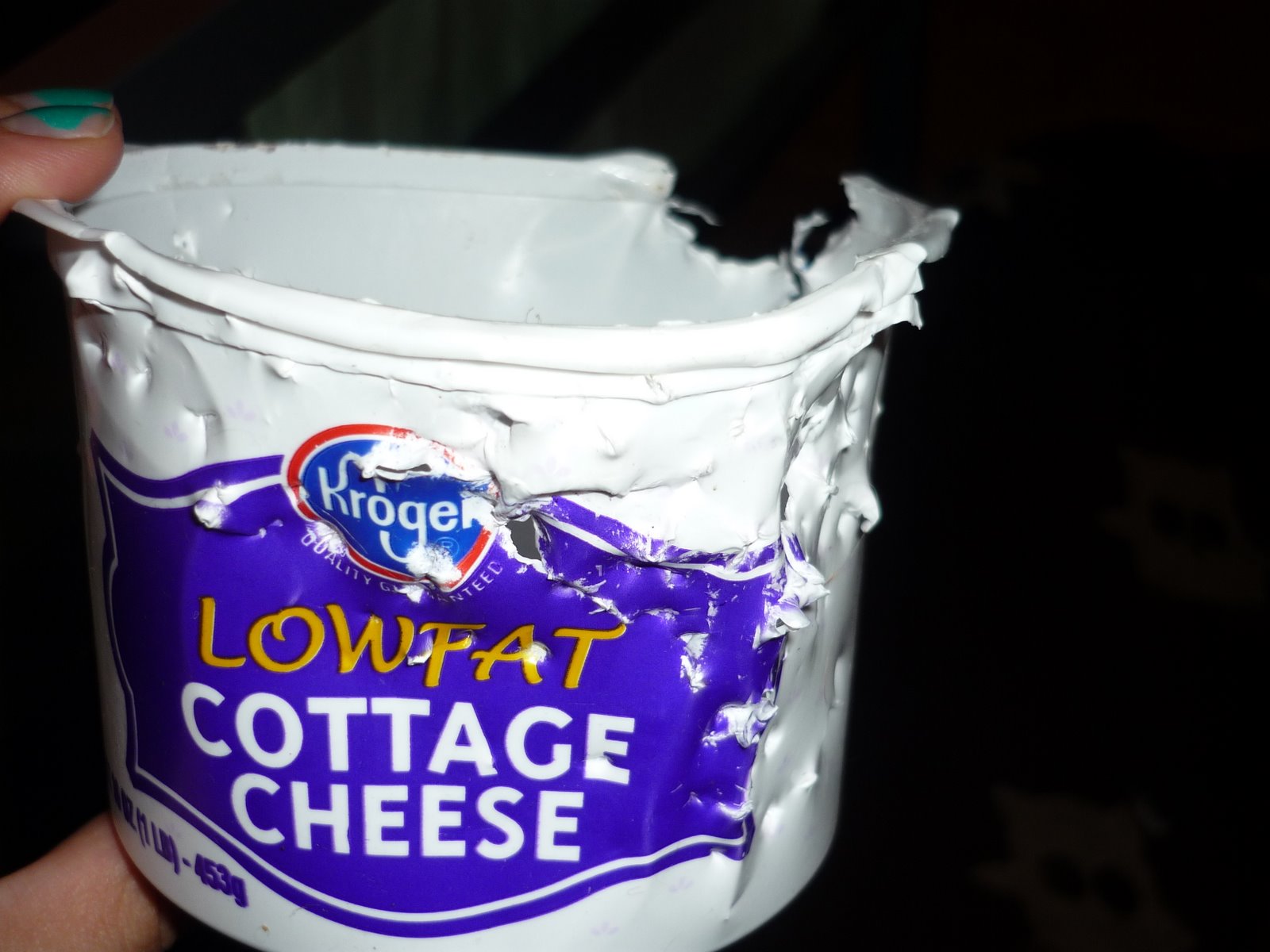[cottage+cheese.JPG]