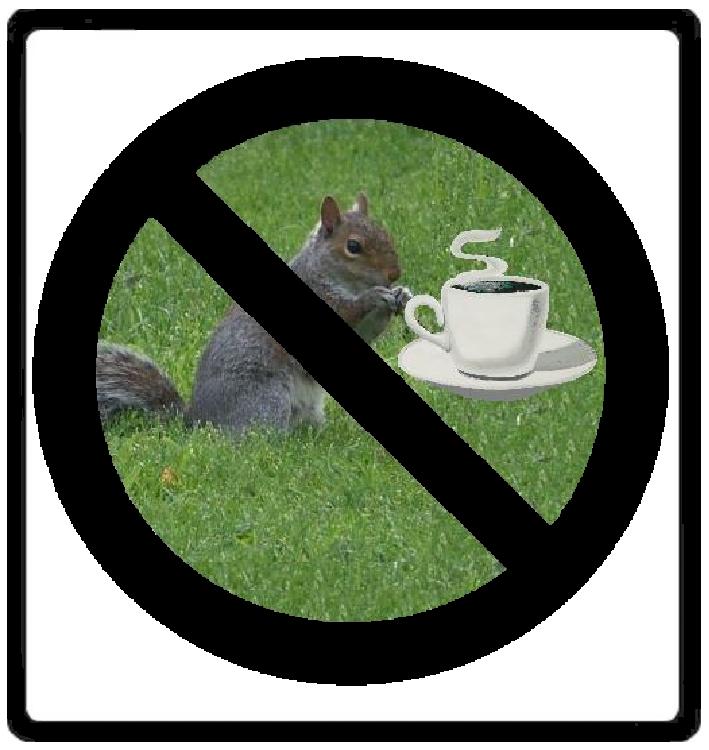 Squirrels Should Not Drink Coffee