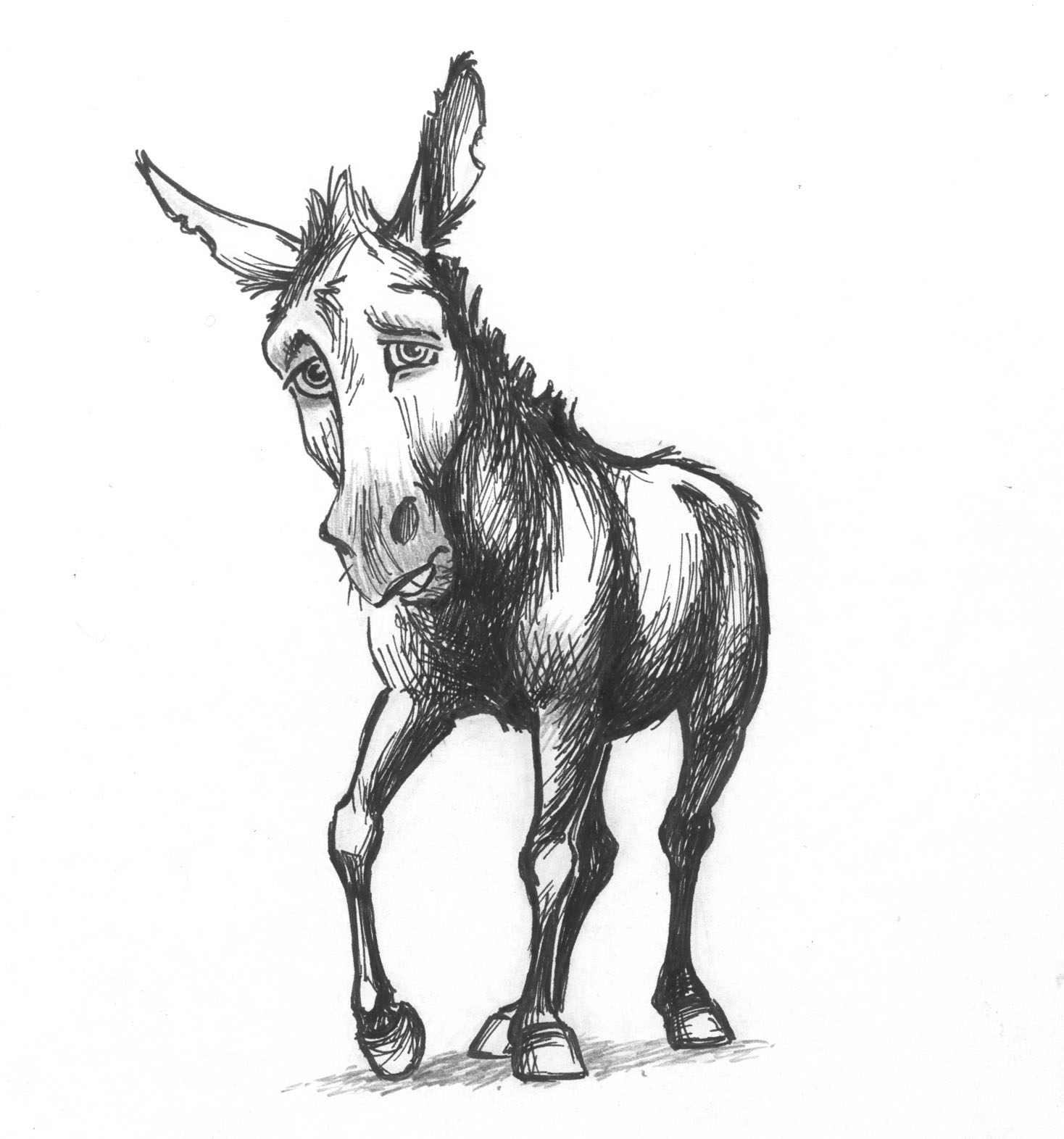 [donkey32.jpg]