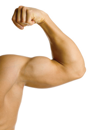 [muscles1.jpg]