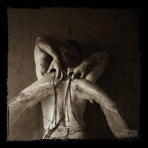 [Tangled_angels__II__by_temporary_peace.jpg]