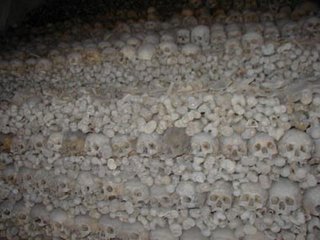 [wall+of+skulls.jpg]