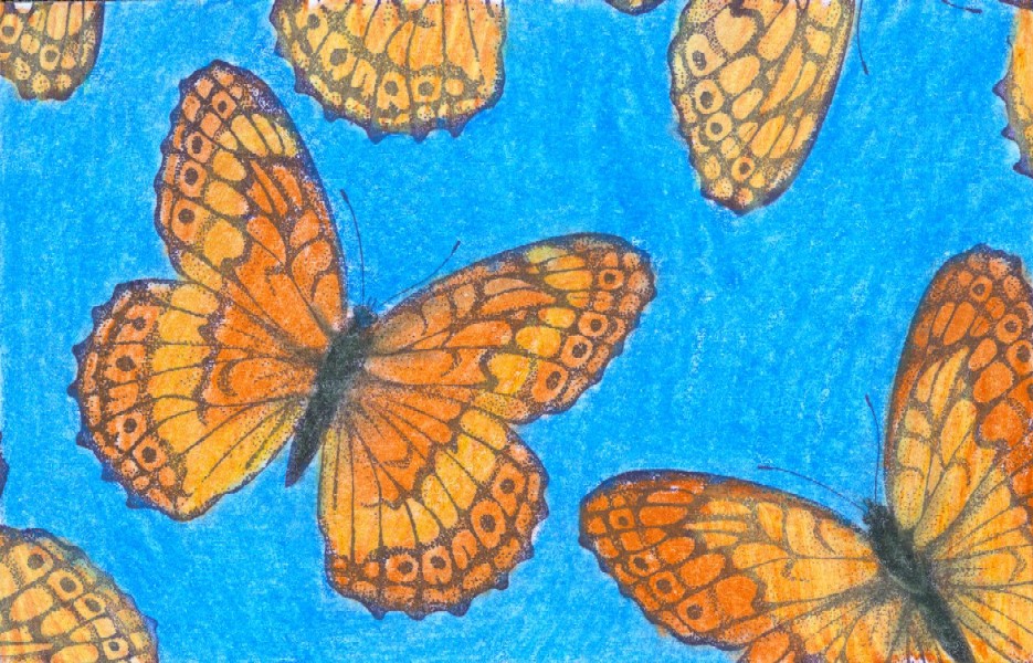 [postcard+8+butterflies.jpg]