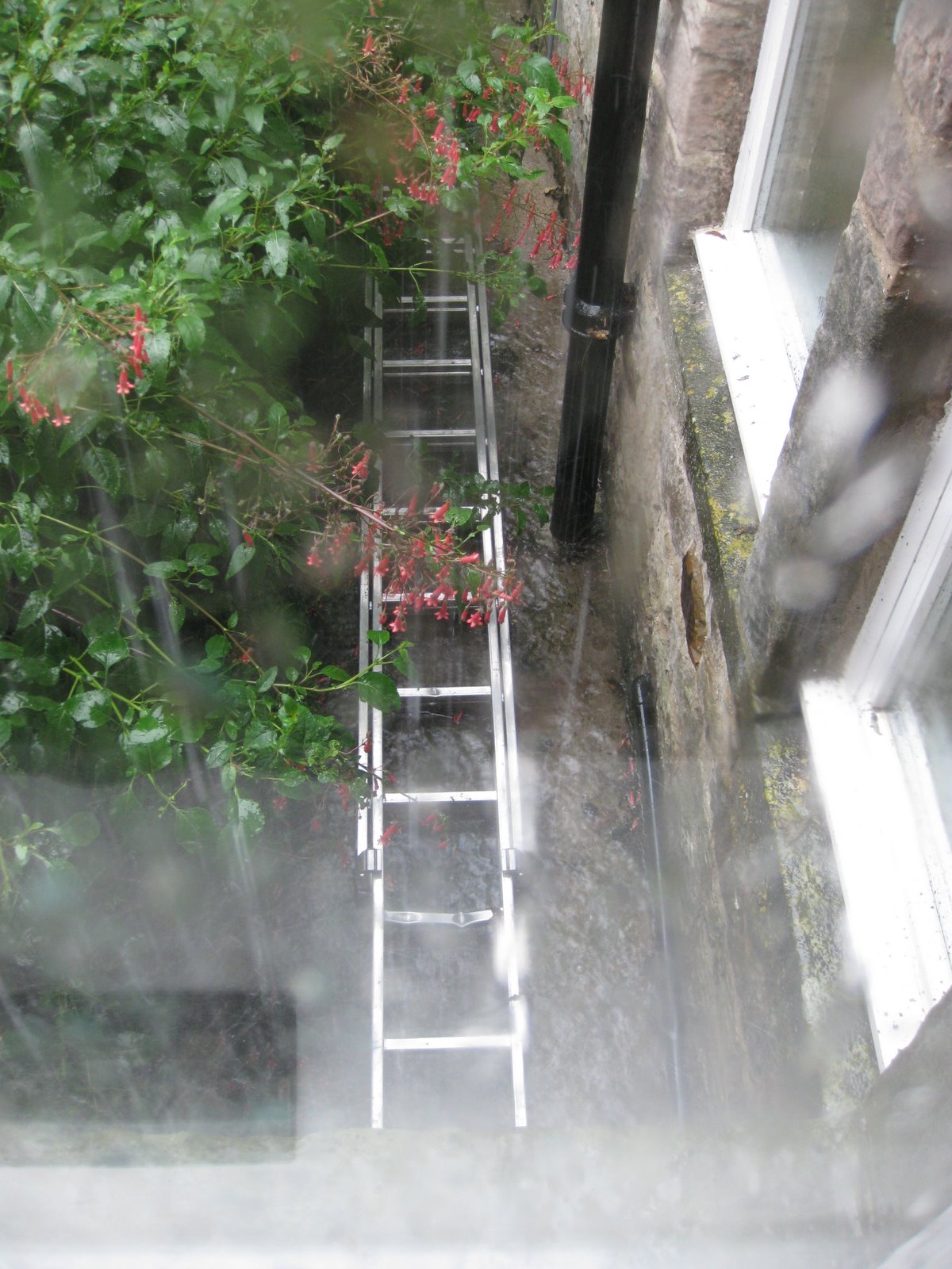 [The+ladder.JPG]