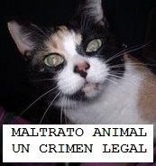 MALTRATO ANIMAL: UN CRIMEN LEGAL